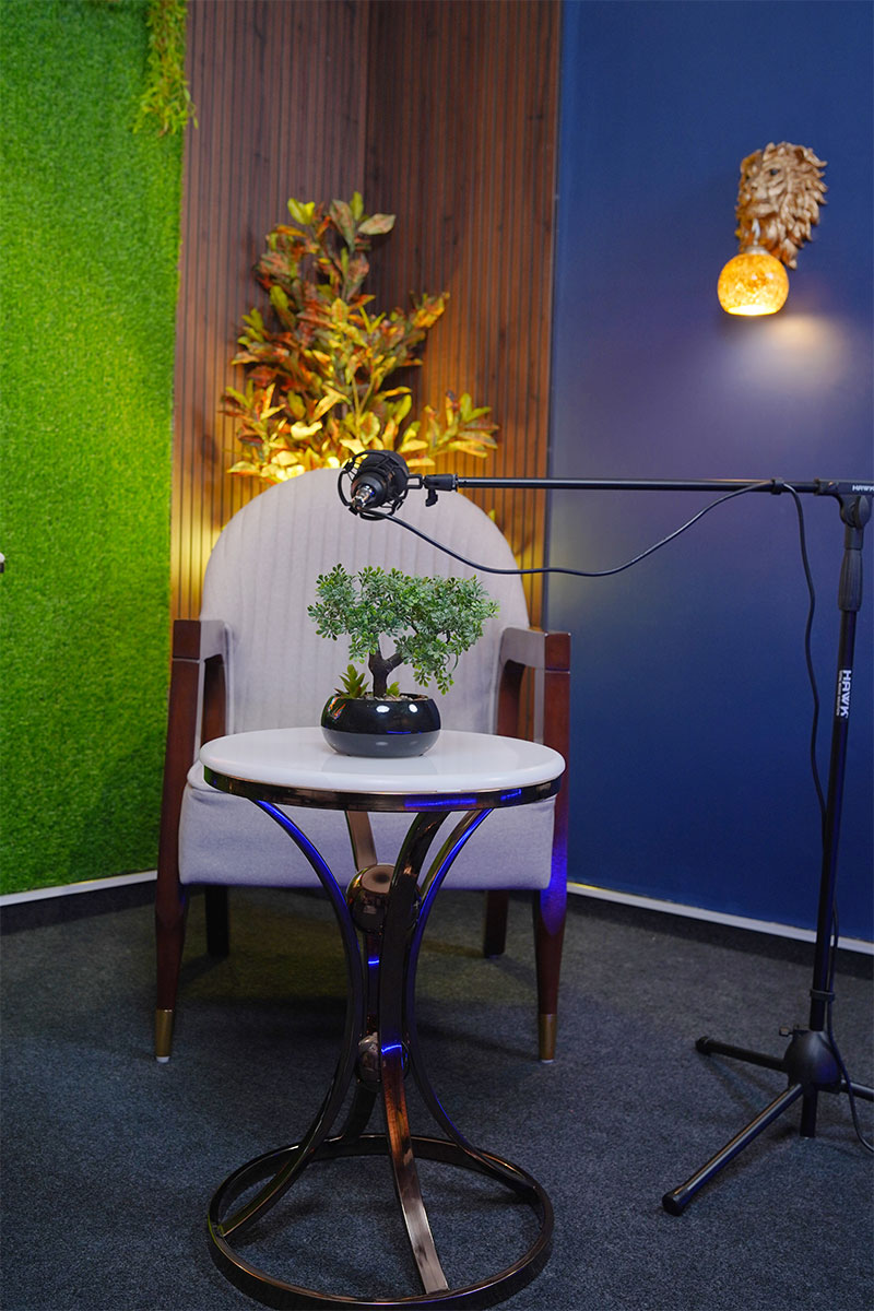 Pacetalk podcast studio setup 4 — Forest Lounge