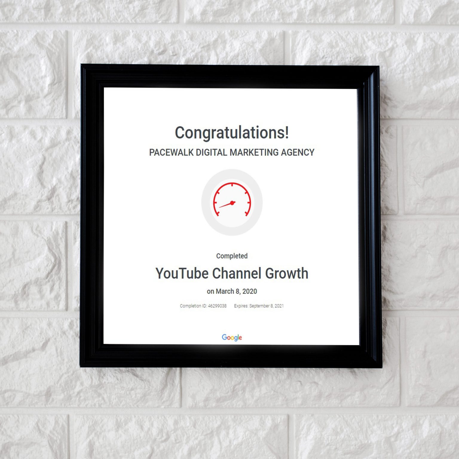 YouTube Channel Growth — Pacewalk certified