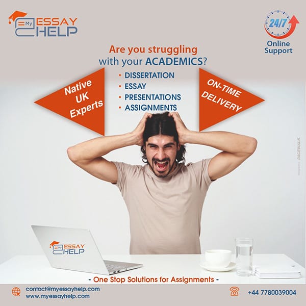 Educational Company Promo — Social Media Creatives by Pacewalk (design 57)