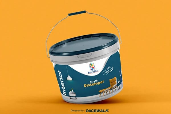 Packaging Designing — Packaging Design by Pacewalk (design 45)
