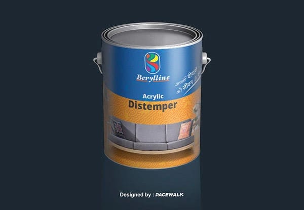 Packaging Designing — Packaging Design by Pacewalk (design 51)