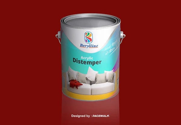 Packaging Designing — Packaging Design by Pacewalk (design 53)