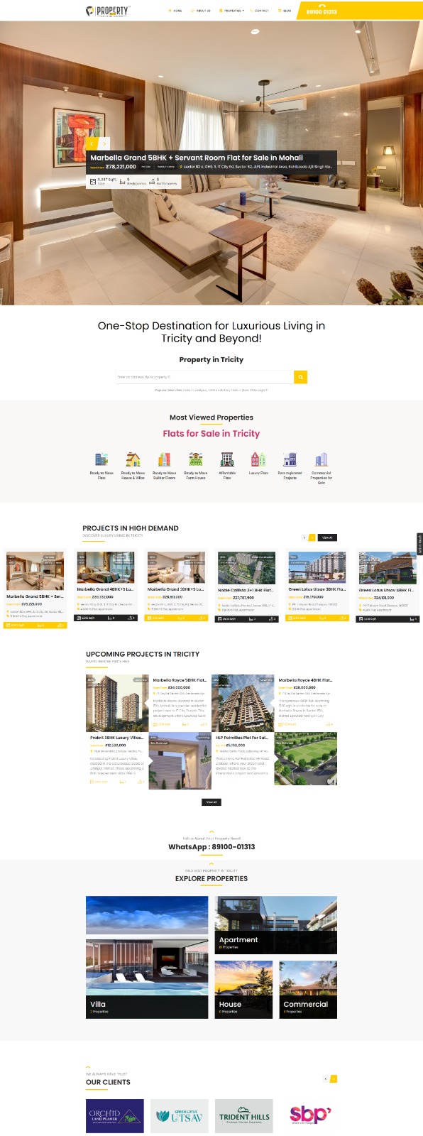pacewalk professional services website design portfolio