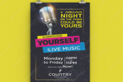 live music poster Design Services in mohali