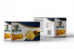 branding and packaging design company in chandigarh