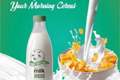 branding and packaging design company in chandigarh