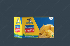 Packaging Design Company India, Branding Agency chandigarh