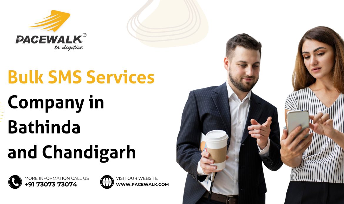 Bulk SMS Services Company in Bathinda and Chandigarh