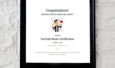 Youtube Certified Company in Chandigarh