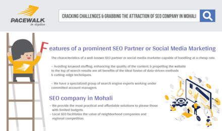 Cracking Challenges and Grabbing the Attraction of SEO Company in Mohali