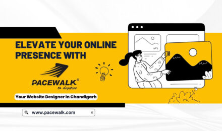 Your Website Designer in Chandigarh