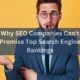 Why-SEO-Companies-Cannot-Promise-Top-Search-Engine-Rankings