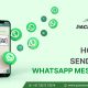 How to Send Bulk WhatsApp Messages